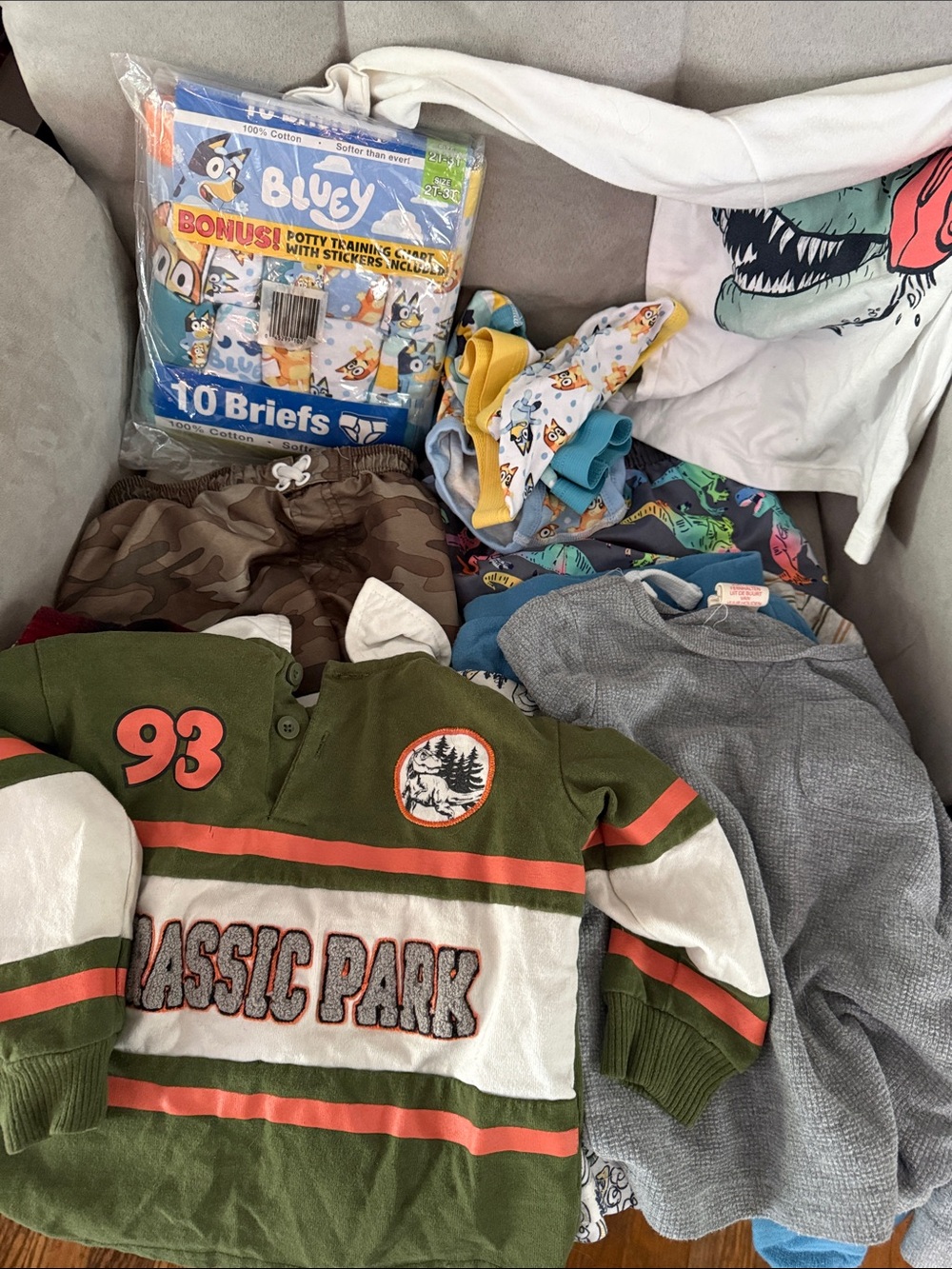 Lot 13 24 mo-2t baby jurassic park bluey 2T-3t underwear pants shirts swimwear